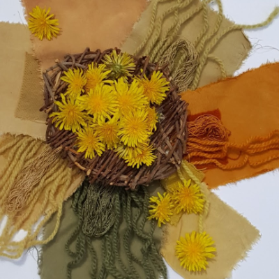 botanicals and naturally dyed cloth pieces